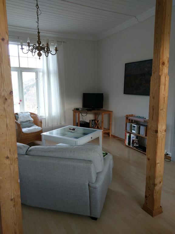 Vikinghaug Apartment Odda Bagian luar foto